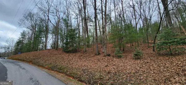 LOT 13 Mangums Trail, Blue Ridge, GA 30513