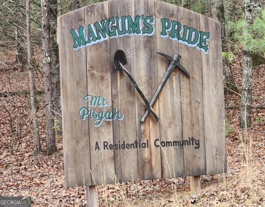 LOT 13 Mangums Trail, Blue Ridge, GA 30513 - #3