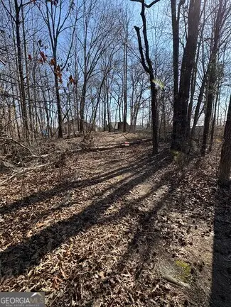 4105 Parks Road, Flowery Branch, GA 30542 - #1