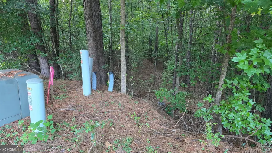 1628 Norris Landing Drive, Snellville, GA 30039 - #2