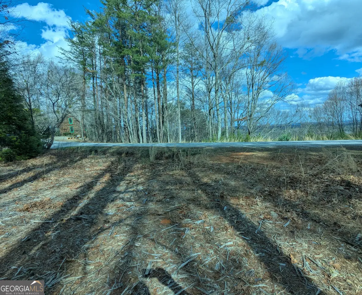 LT 30-31 Eagle Ridge Road, Dawsonville, GA 30534 - #1