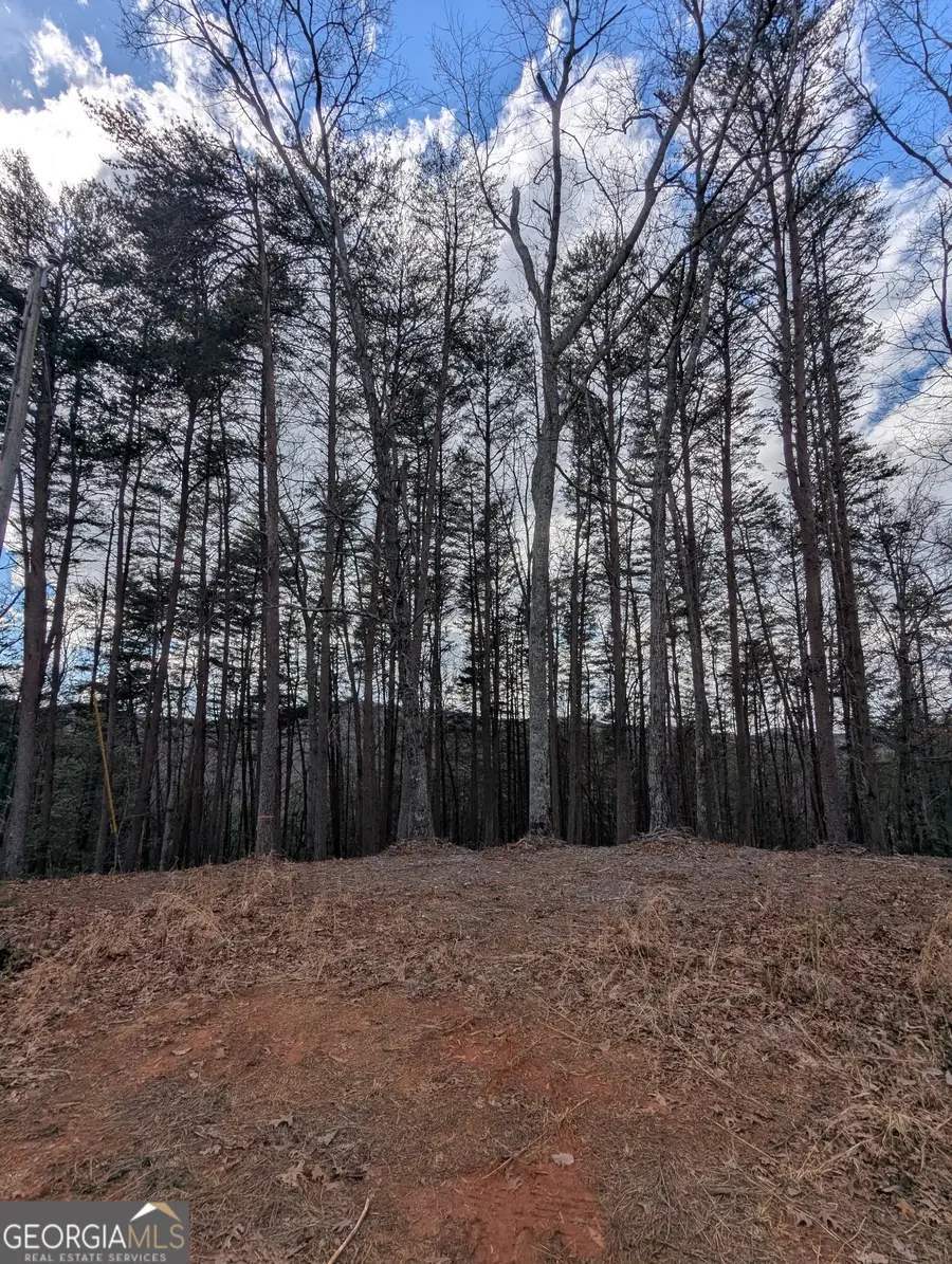 LT 30-31 Eagle Ridge Road, Dawsonville, GA 30534 - #2