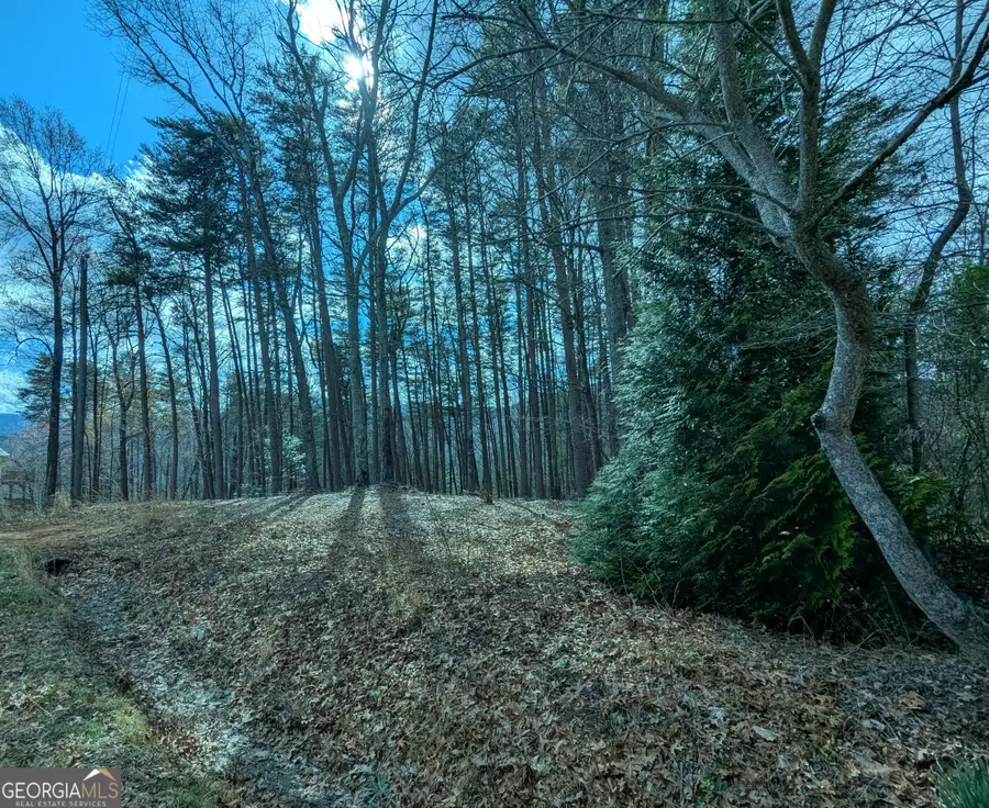 LT 30-31 Eagle Ridge Road, Dawsonville, GA 30534 - #3