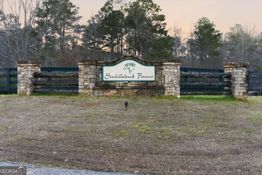 35 Saddleback Farms Drive, Newnan, GA 30263 - #2