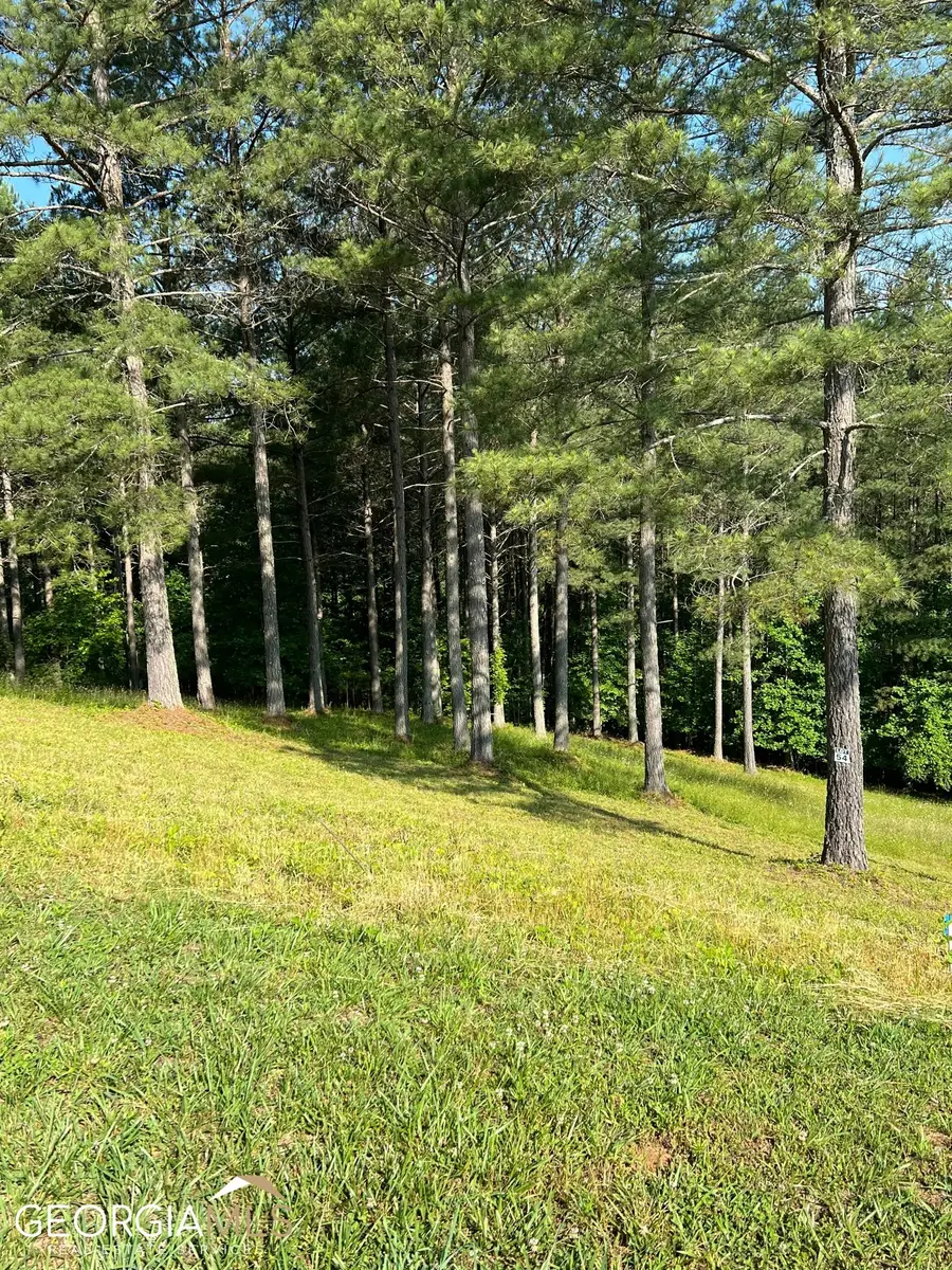 LT 54 Pinehurst Road, Blairsville, GA 30512 - #3