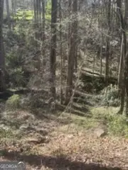 11005 Regents Court, Hampton, GA 30228 - #2