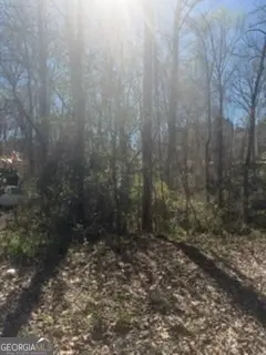 11005 Regents Court, Hampton, GA 30228 - #3