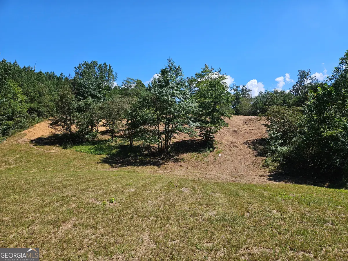 0 Maple Grove Church Road, Chatsworth, GA 30705 - #1