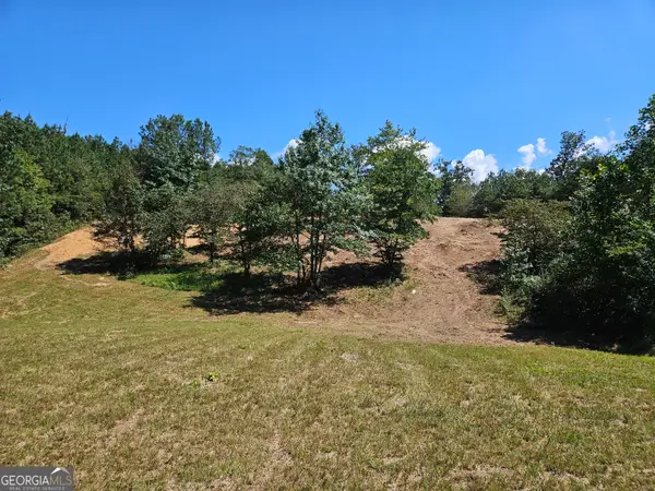 0 Maple Grove Church Road, Chatsworth, GA 30705