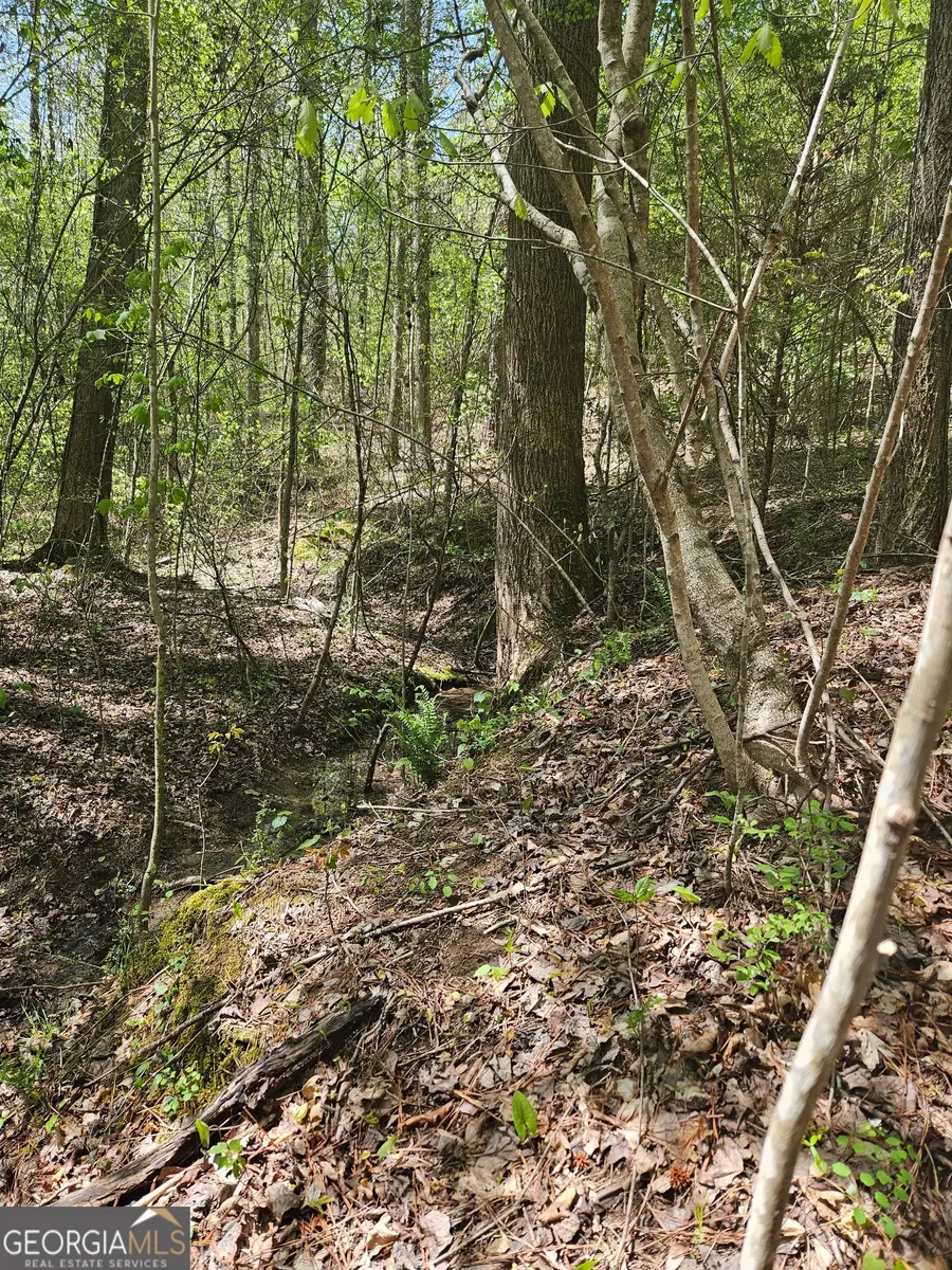 0 Maple Grove Church Road, Chatsworth, GA 30705 - #3