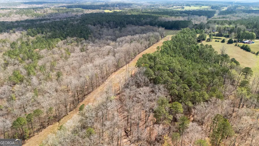 0 Robert Hodnett Road, Pine Mountain, GA 31822 - #3