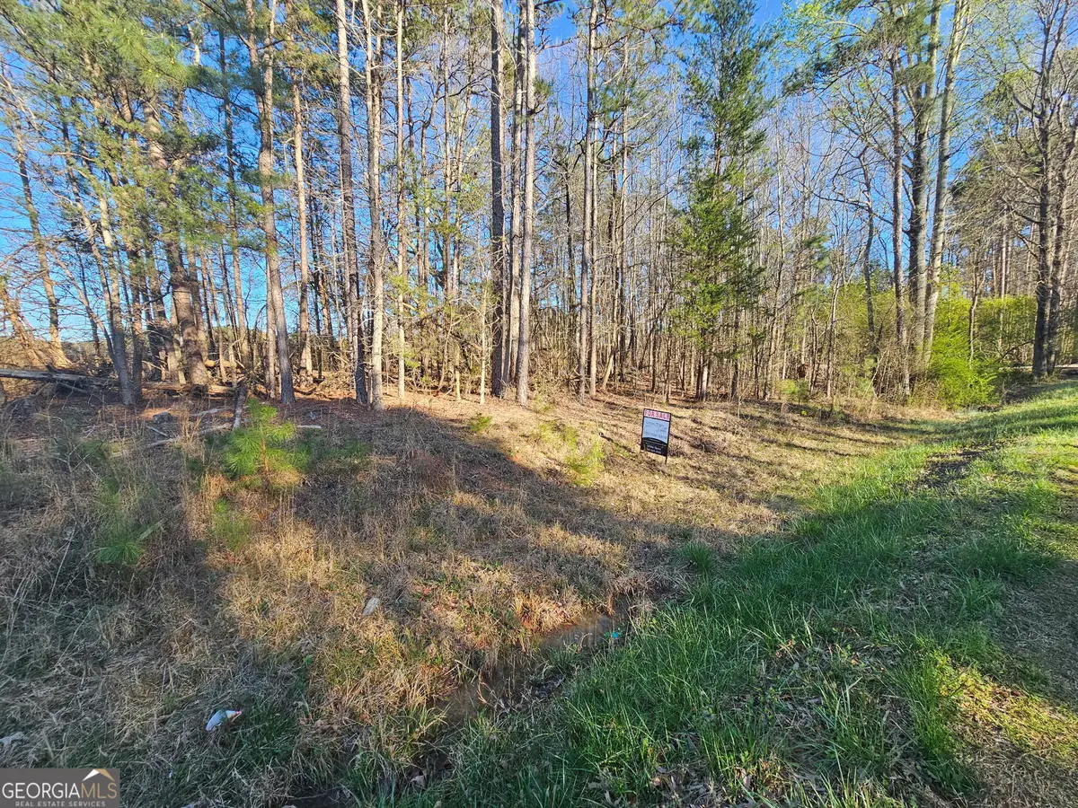 0 Lake Point Road, Hartwell, GA 30643 - #1