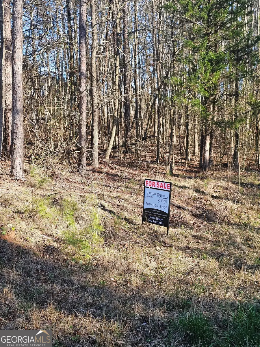 0 Lake Point Road, Hartwell, GA 30643 - #3