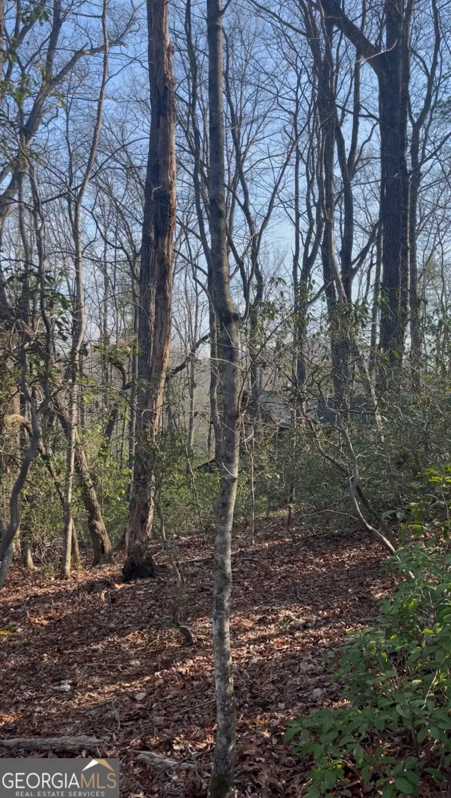 0 Highland Trail, Cleveland, GA 30528 - #2