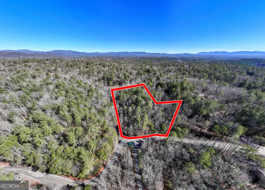 3.38 ACRES Bates Drive, Ellijay, GA 30540 - #2