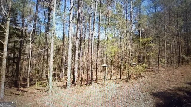 0 Wadley Street, Greenville, GA 30222 - #2