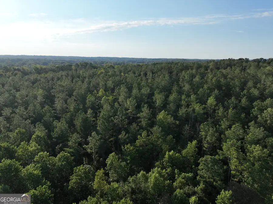 0 Shady Grove Road, Carrollton, GA 30116 - #2