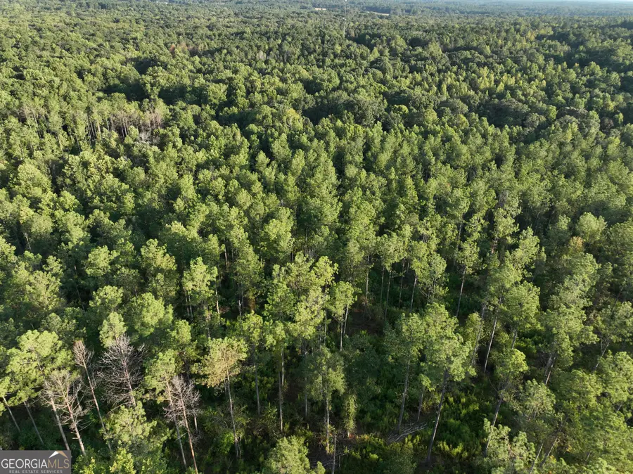 0 Shady Grove Road, Carrollton, GA 30116 - #3