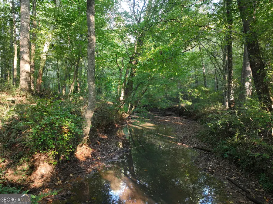 0 Shady Grove Road, Carrollton, GA 30116 - #2