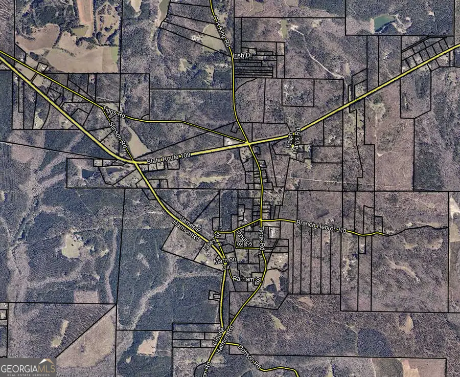 0 Branch Hebron Road, Greenville, GA 30222 - #2