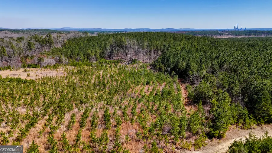 TRACT 1 John Kay Road, Taylorsville, GA 30178 - #3