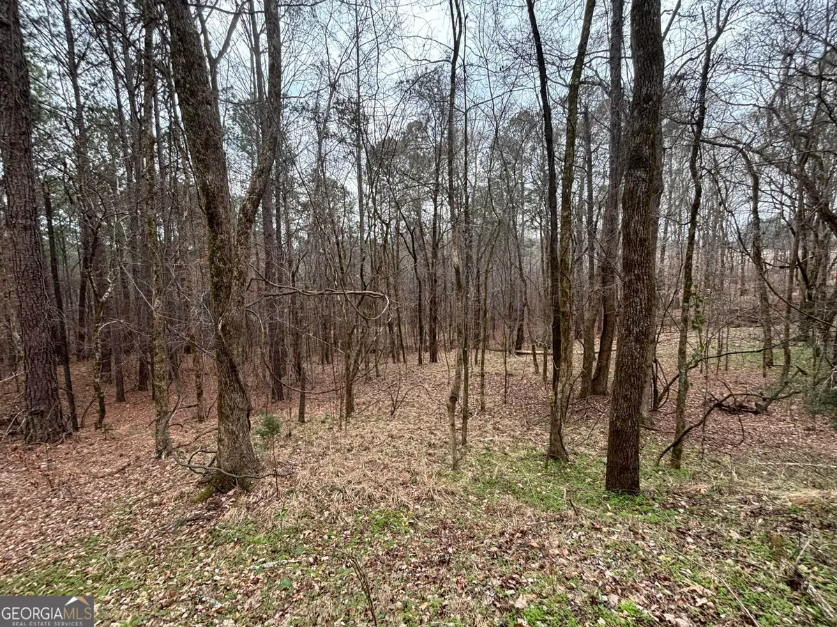 0 Oconee Rd Lot 3, Buckhead, GA 30625 - #1