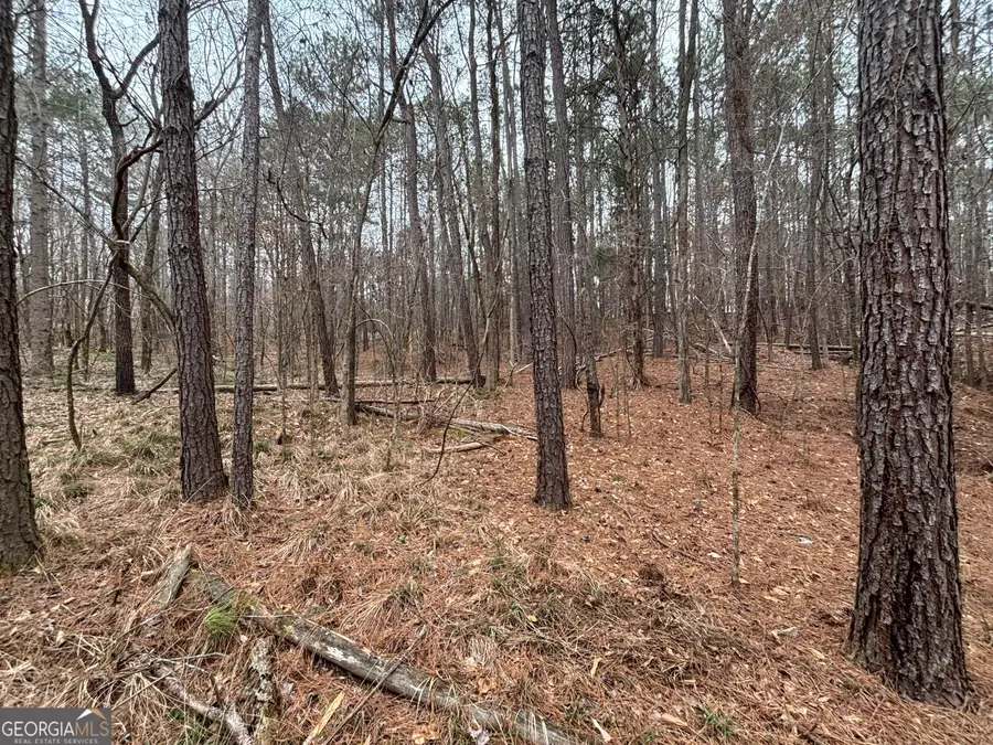 0 Oconee Rd Lot 3, Buckhead, GA 30625 - #3