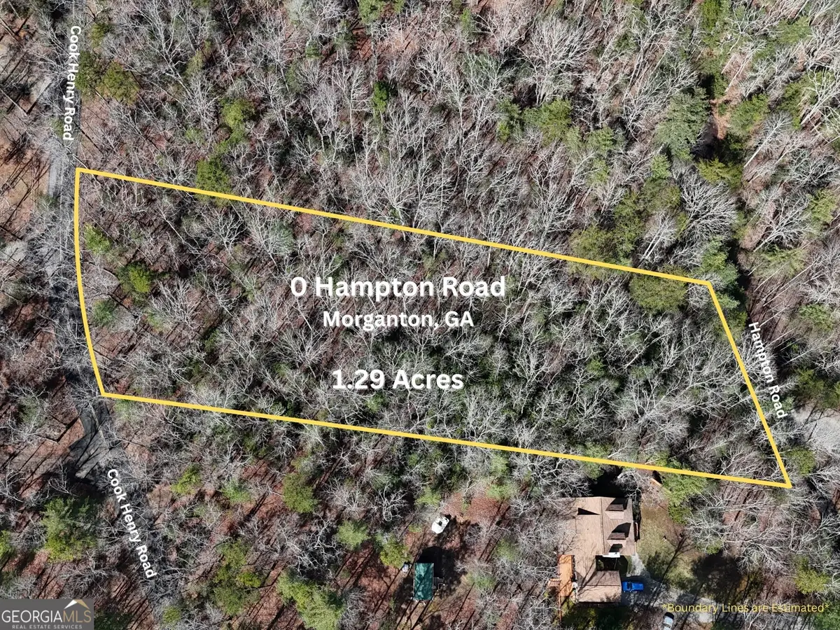 0 Hampton Road, Morganton, GA 30560 - #1