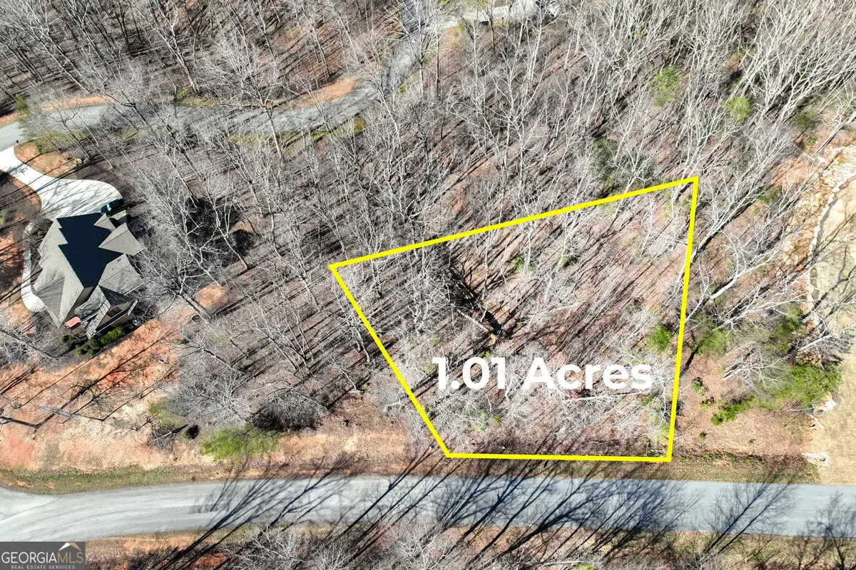 LOT 21 Long Mountain Trail, Cleveland, GA 30528 - #1