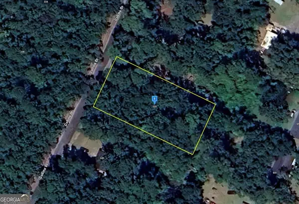 233 Collins Drive, Brunswick, GA 31523