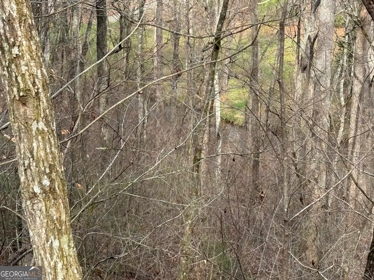 #15A Mossy Oaks Lane, Hiawassee, GA 30546 - #1