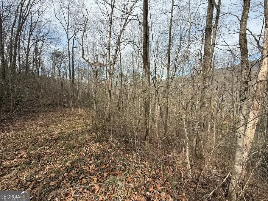 #15A Mossy Oaks Lane, Hiawassee, GA 30546 - #3