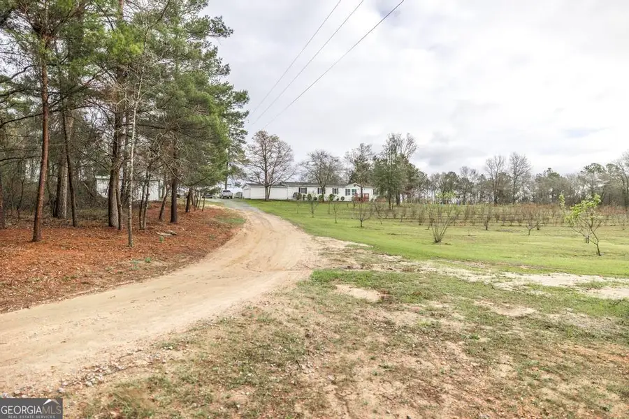 319 Pope Road, Roberta, GA 31078 - #2