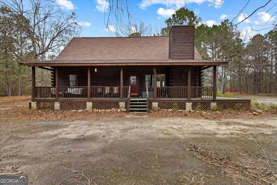 250 Lee Paul Road, Hawkinsville, GA 31036 - #3
