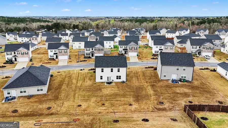 316 Arnica Drive S, Locust Grove, GA 30248 - #3