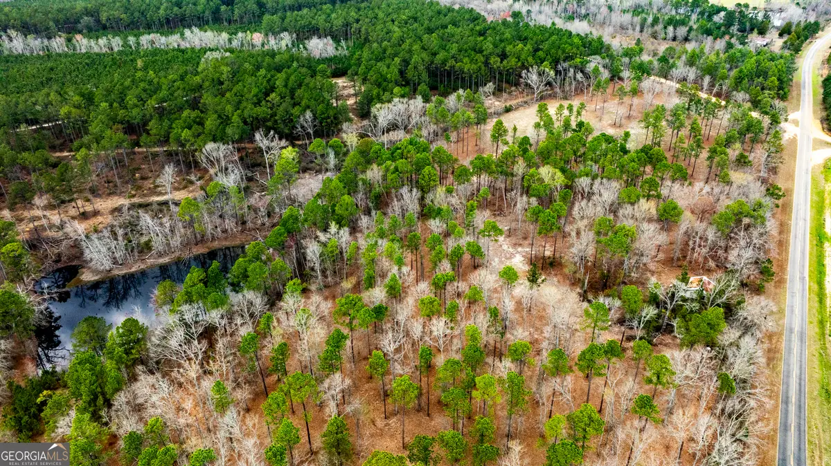 13463 Cowart Pond Road, Metter, GA 30439 - #1