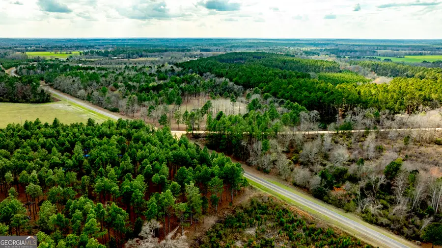 13463 Cowart Pond Road, Metter, GA 30439 - #2