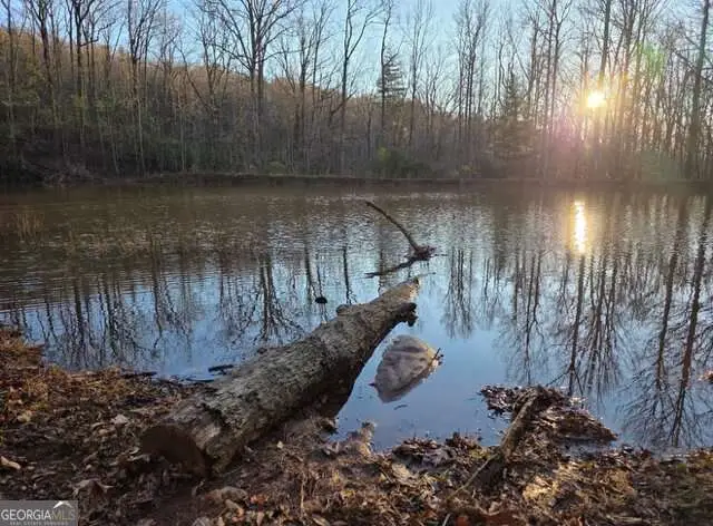 100 Hidden Hollow Lane, Dahlonega, GA 30533 - #2