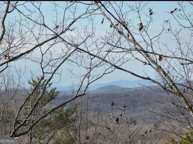 100 Hidden Hollow Lane, Dahlonega, GA 30533 - #3