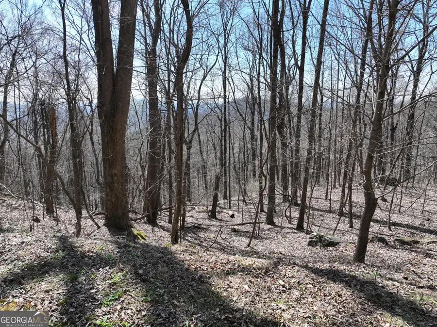 243 Dragon Trail, Ellijay, GA 30536 - #2