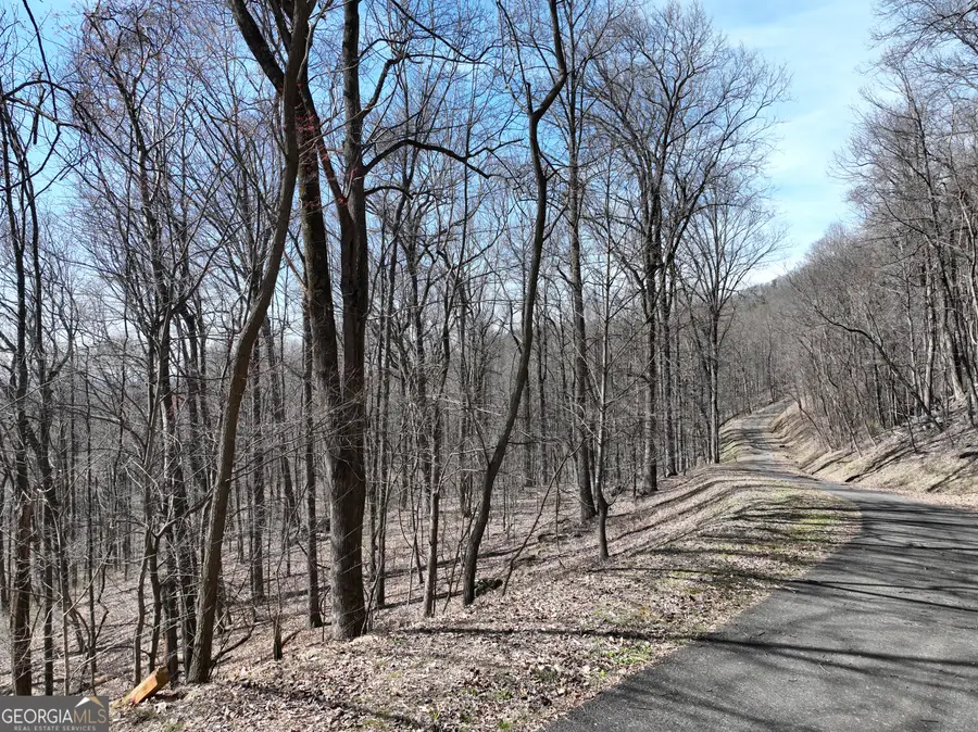 243 Dragon Trail, Ellijay, GA 30536 - #3