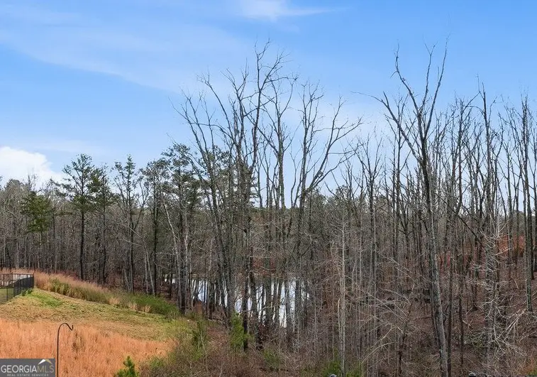 720 Cherokee Rose, Bremen, GA 30110 - #3