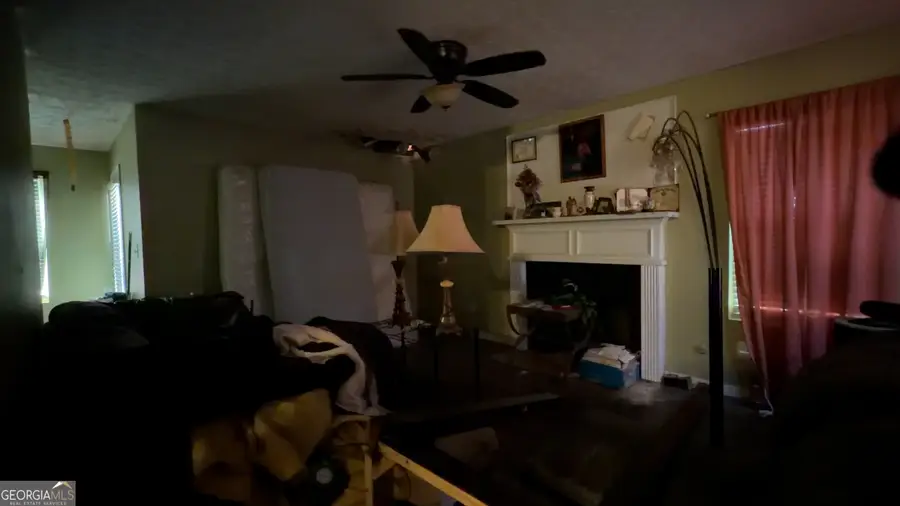 173 Goldleaf Drive, Hampton, GA 30228 - #3