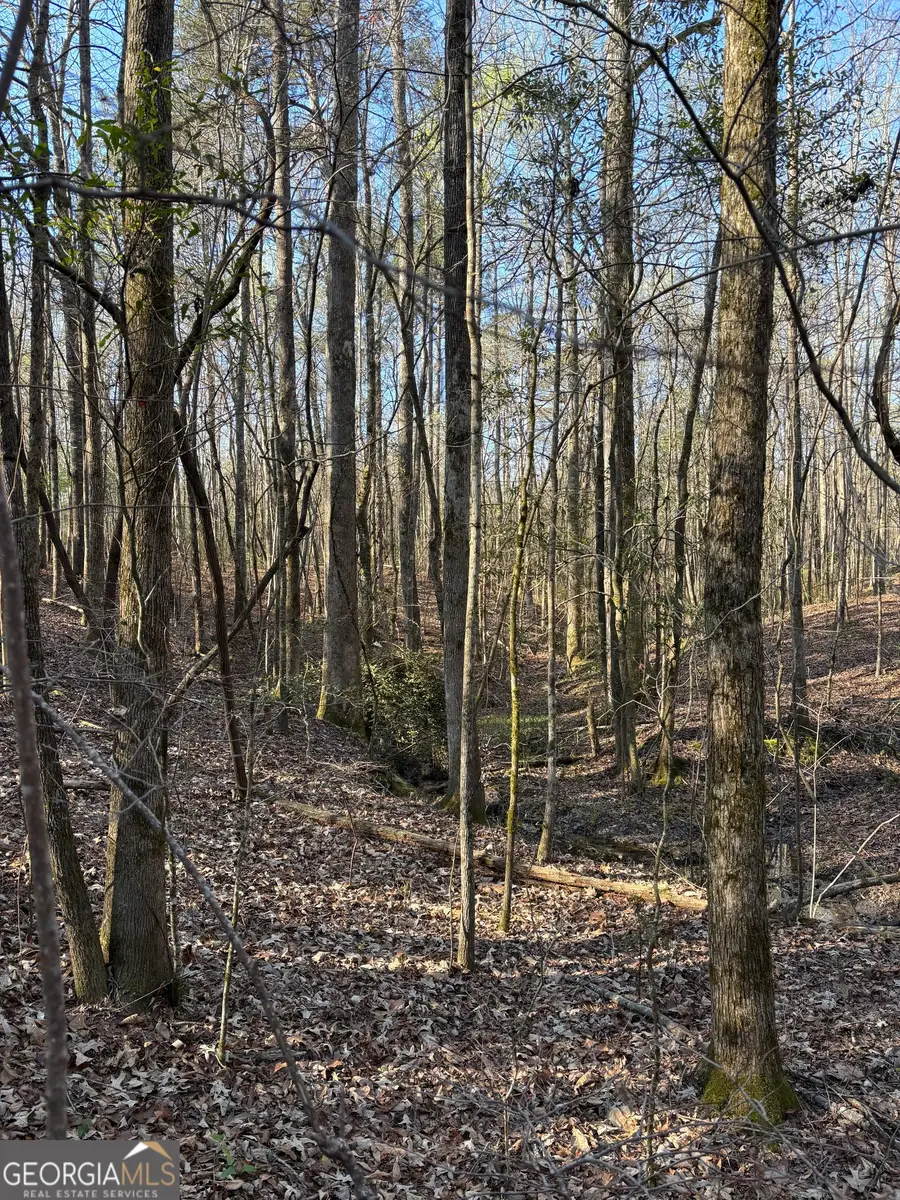 3005 Sr 18 Highway, West Point, GA 31833 - #2