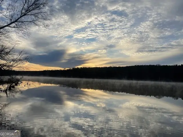 3312 Hunts Chapel Road, Sparta, GA 31087 - #2