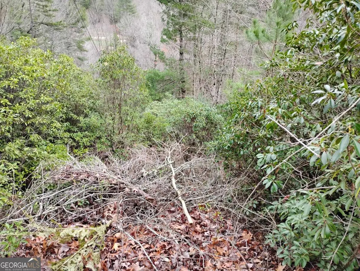 LT 166 Shenendoa Drive #166, Ellijay, GA 30540 - #1