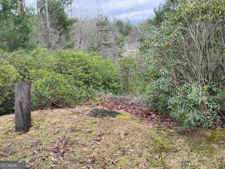 LT 166 Shenendoa Drive #166, Ellijay, GA 30540 - #2