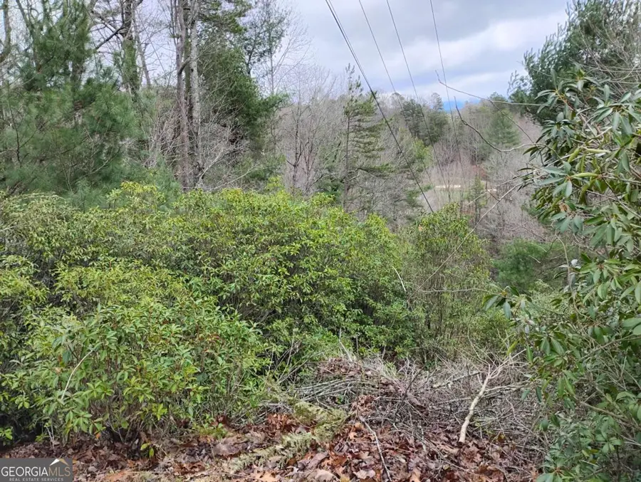 LT 166 Shenendoa Drive #166, Ellijay, GA 30540 - #3