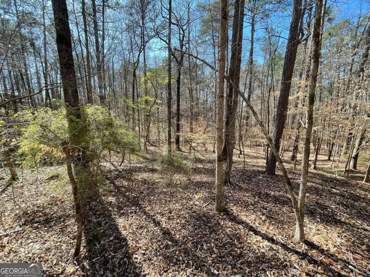 LOT 62 Warbler Lane, Monticello, GA 31064 - #1