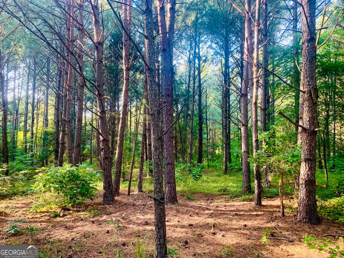 0 Pedenville Road, Concord, GA 30206 - #1